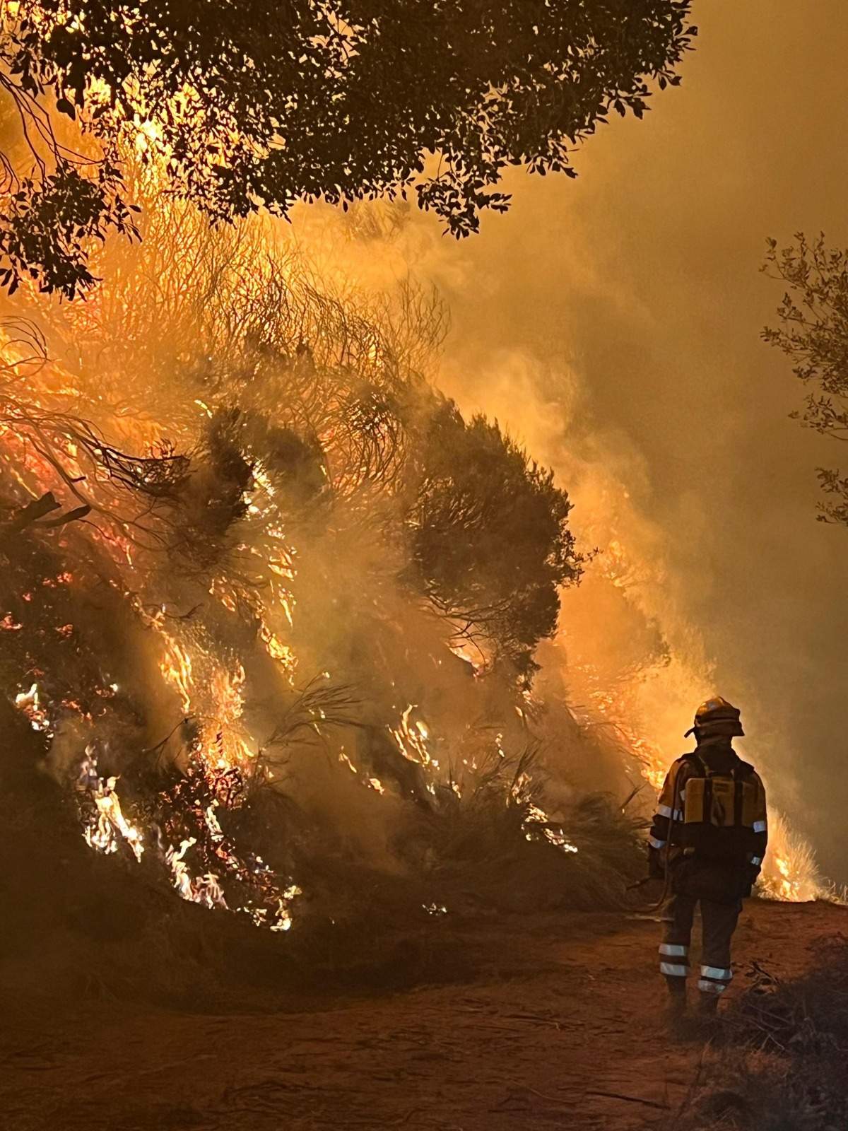 Brif Tabuyo esta noche en el incendio de Colinas del Campo Fasgar
