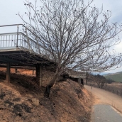 Las Médulas desde el mirador de Orellán tras el incendio de Yeres