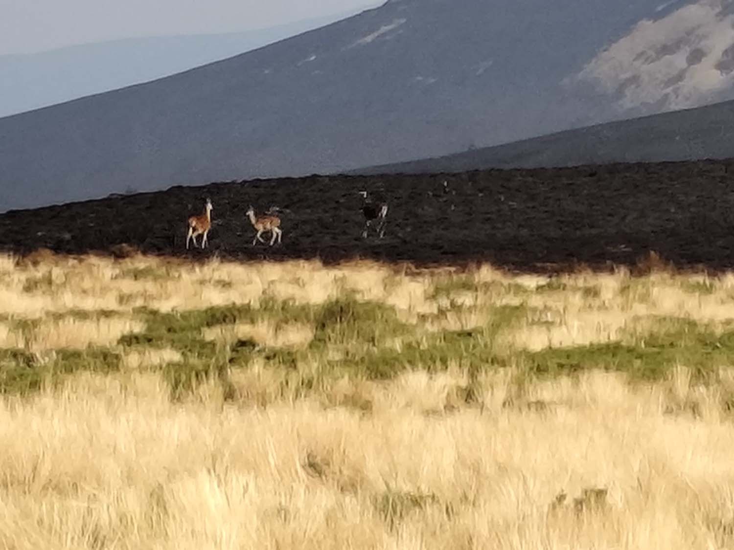 Antigua estación de El Morredero tras el incendio de Llamas de Cabrera (7) Cedidas por Manuel García Gómez