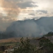 Incendio en Berlanga del Bierzo (2)