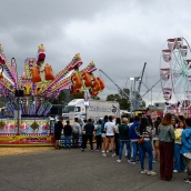¿Qué hay hoy en las Fiestas de la Encina de Ponferrada? Apertura del recinto ferial, Encuentro de Peñas y Pregón