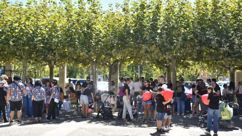 Concentración de peñas La Encina  (22)