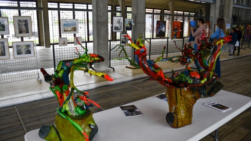 Exposición de la fiesta de la Encina (12)