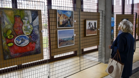 Exposición de la fiesta de la Encina (16)