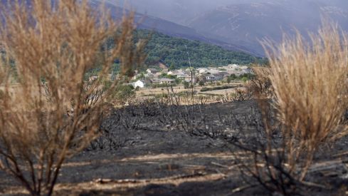  Zona afectada por los incendios en Chana de Somoza, en el municipio de Lucillo (León) | Campillo / ICAL