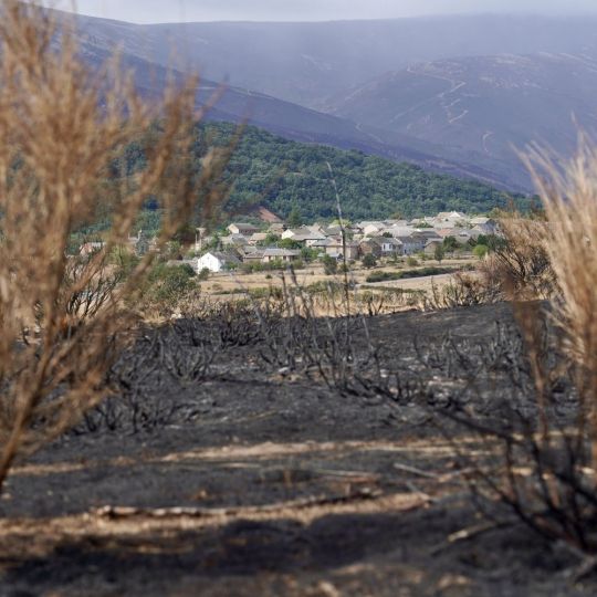  Zona afectada por los incendios en Chana de Somoza, en el municipio de Lucillo (León) | Campillo / ICAL