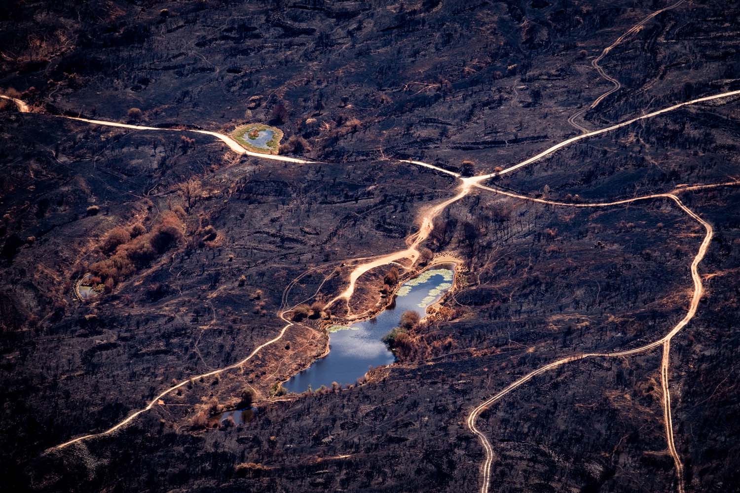 Fotos de Greenpeace desde el aire las Médulas quemadas (9)