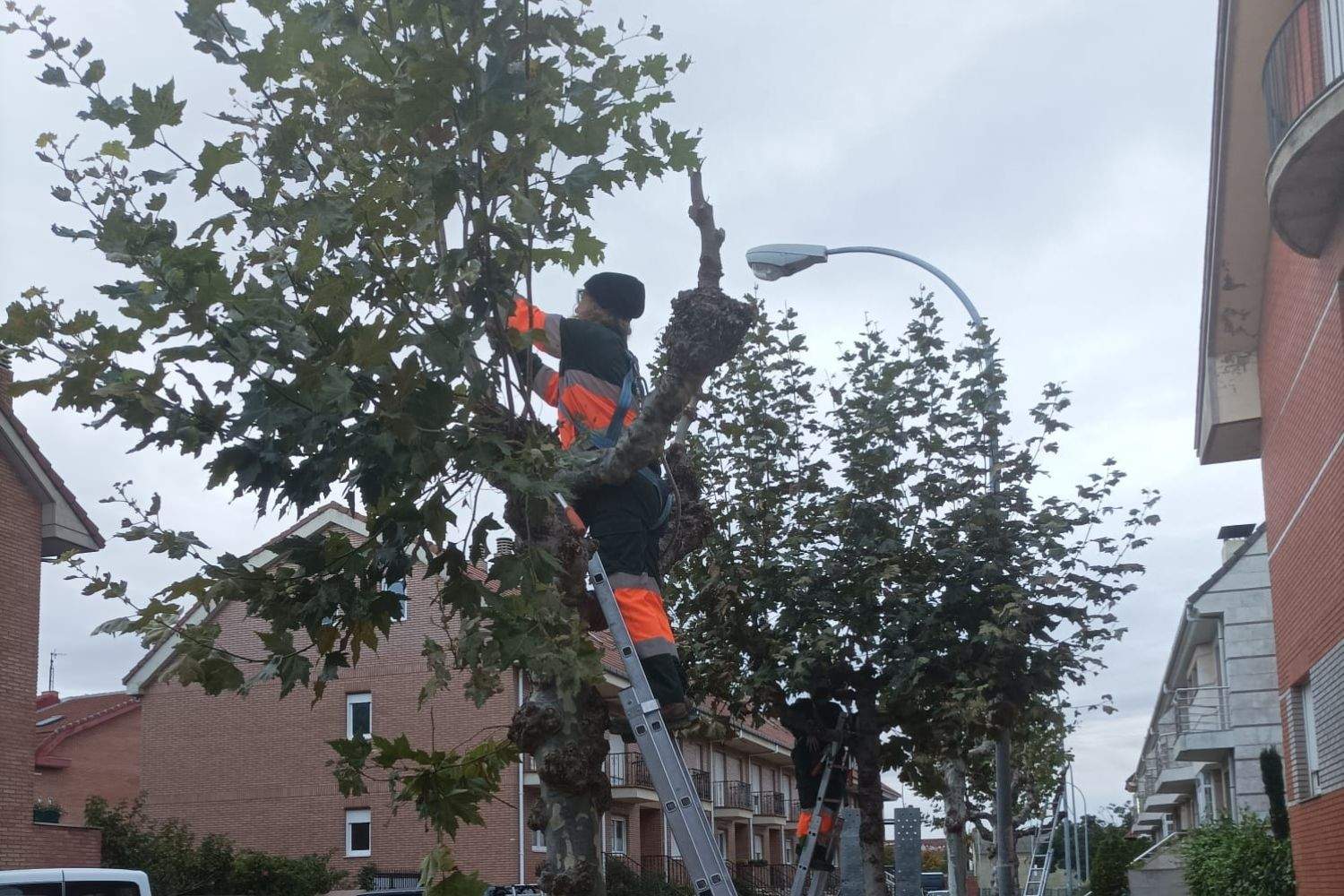 El empleo en la provincia de León crece un 2,6% llegando hasta los 122.000 asalariados El empleo en la provincia de León crece un 2,6% llegando hasta los 122.000 asalariados