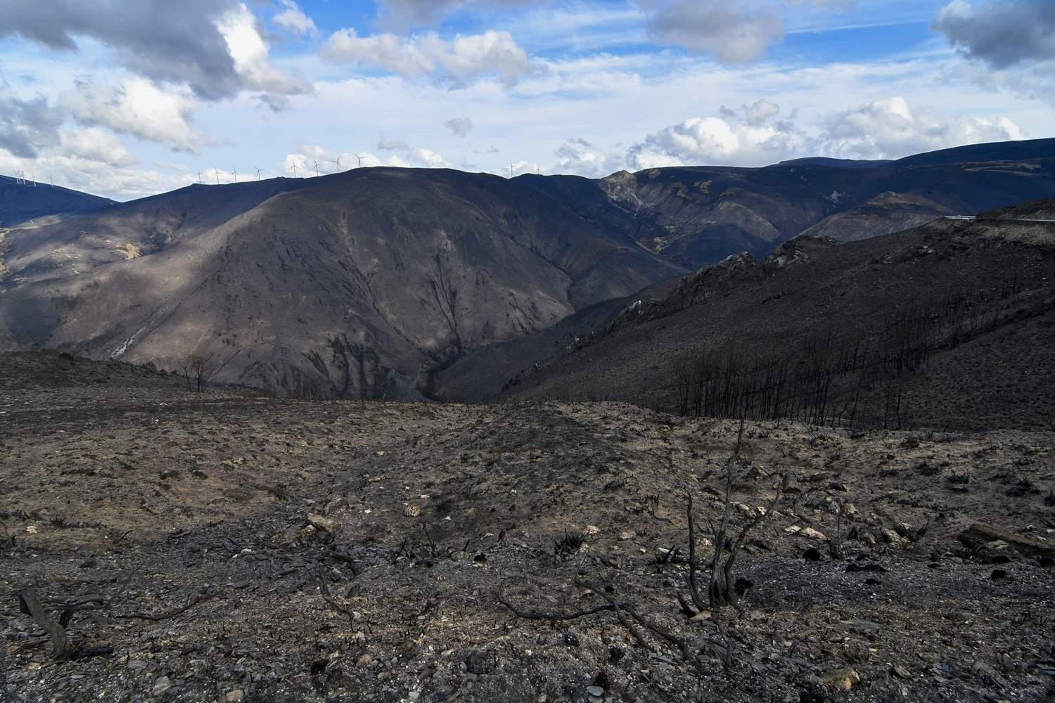 La Tebaida en cenizas resurgirá como Ave Fénix (Daniel Merino / InfoBierzo) La Tebaida en cenizas resurgirá como Ave Fénix (Daniel Merino / InfoBierzo)
