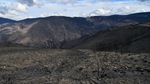 La Tebaida en cenizas resurgirá como Ave Fénix (Daniel Merino / InfoBierzo)