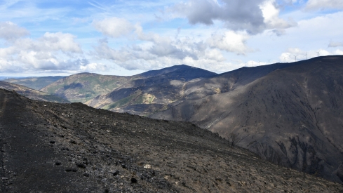 La Tebaida en cenizas resurgirá como Ave Fénix (Daniel Merino / InfoBierzo)