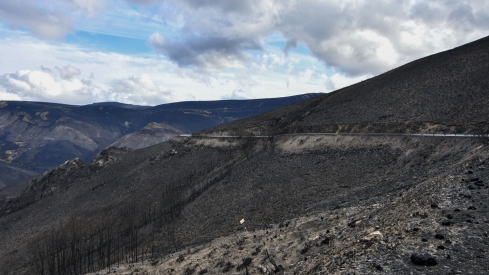 La Tebaida en cenizas resurgirá como Ave Fénix (Daniel Merino / InfoBierzo)