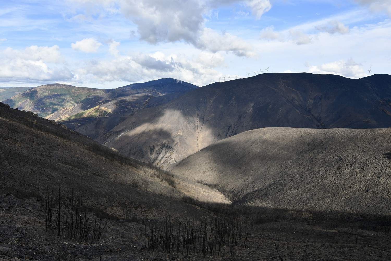 La Tebaida en cenizas resurgirá como Ave Fénix (Daniel Merino / InfoBierzo)