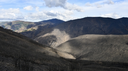 La Tebaida en cenizas resurgirá como Ave Fénix (Daniel Merino / InfoBierzo)