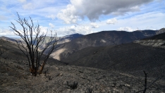 La Tebaida en cenizas resurgirá como Ave Fénix (Daniel Merino / InfoBierzo)