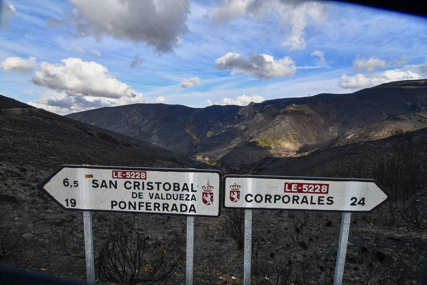 La Tebaida en cenizas resurgirá como Ave Fénix (Daniel Merino / InfoBierzo)