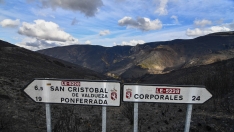 La Tebaida en cenizas resurgirá como Ave Fénix (Daniel Merino / InfoBierzo)