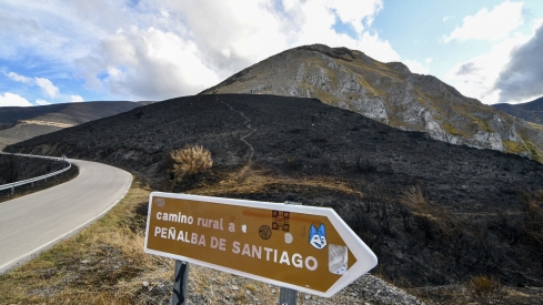 La Tebaida en cenizas resurgirá como Ave Fénix (Daniel Merino / InfoBierzo)