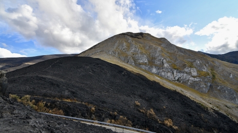 La Tebaida en cenizas resurgirá como Ave Fénix (Daniel Merino / InfoBierzo)