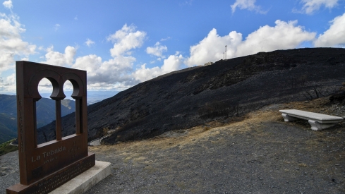 La Tebaida en cenizas resurgirá como Ave Fénix (Daniel Merino / InfoBierzo)