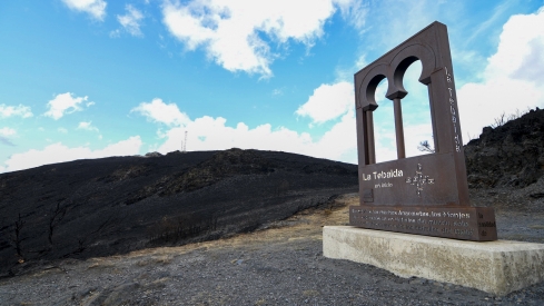 La Tebaida en cenizas resurgirá como Ave Fénix (Daniel Merino / InfoBierzo)