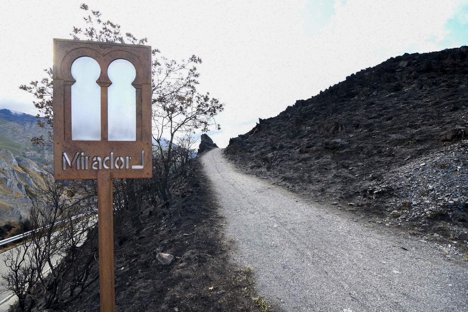 La Tebaida berciana ceniza (36)