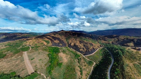 La Tebaida en cenizas resurgirá como Ave Fénix (Daniel Merino / InfoBierzo)