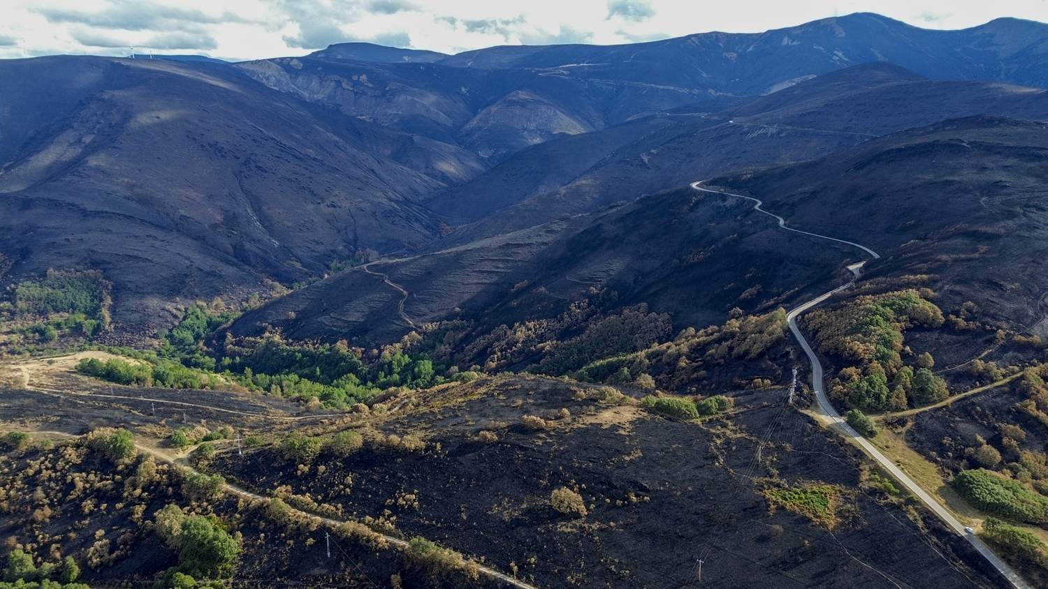 La Tebaida en cenizas resurgirá como Ave Fénix (Daniel Merino / InfoBierzo)