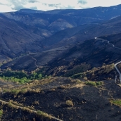 La Tebaida en cenizas resurgirá como Ave Fénix (Daniel Merino / InfoBierzo) La Tebaida en cenizas resurgirá como Ave Fénix (Daniel Merino / InfoBierzo)