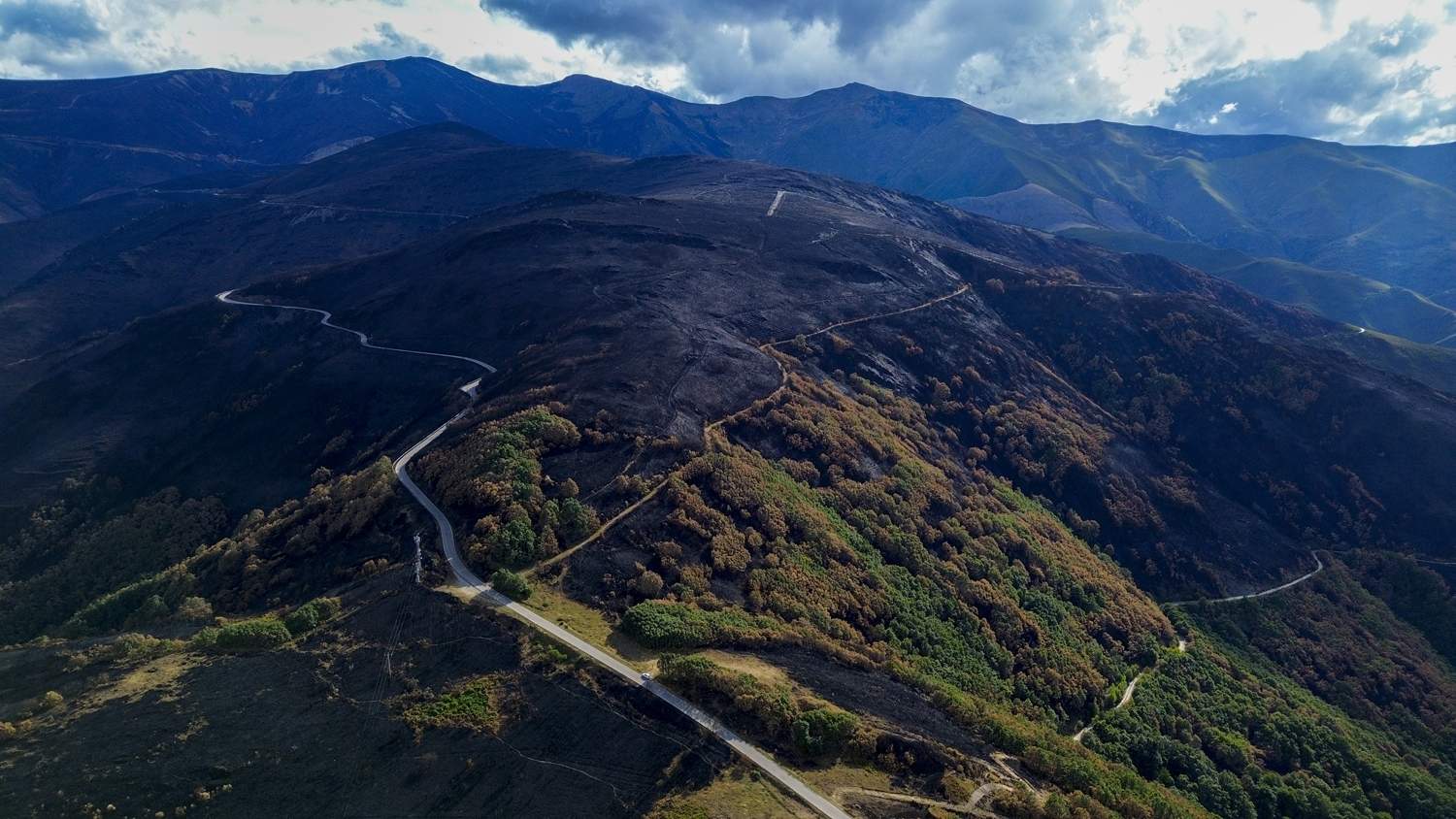 La Tebaida en cenizas resurgirá como Ave Fénix (Daniel Merino / InfoBierzo)
