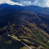 La Tebaida en cenizas resurgirá como Ave Fénix (Daniel Merino / InfoBierzo)