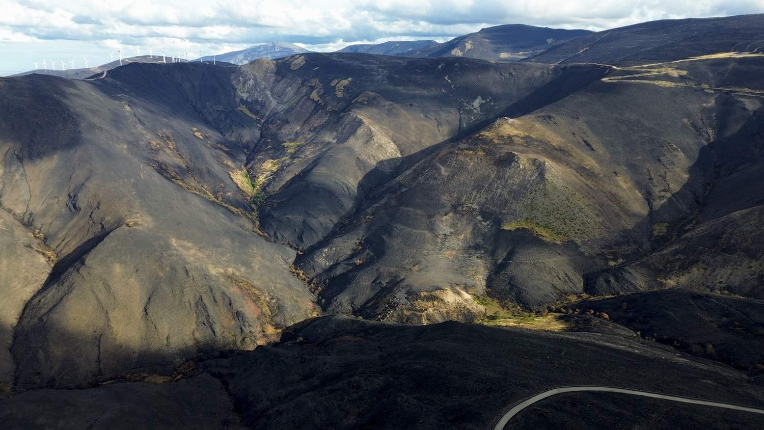 La Tebaida en cenizas resurgirá como Ave Fénix (Daniel Merino / InfoBierzo) La Tebaida en cenizas resurgirá como Ave Fénix (Daniel Merino / InfoBierzo)