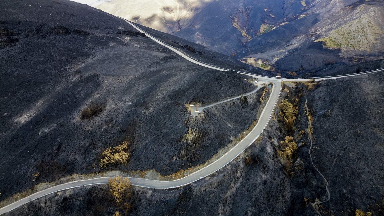 La Tebaida en cenizas resurgirá como Ave Fénix (Daniel Merino / InfoBierzo) La Tebaida en cenizas resurgirá como Ave Fénix (Daniel Merino / InfoBierzo)