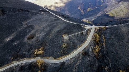 La Tebaida en cenizas resurgirá como Ave Fénix (Daniel Merino / InfoBierzo)