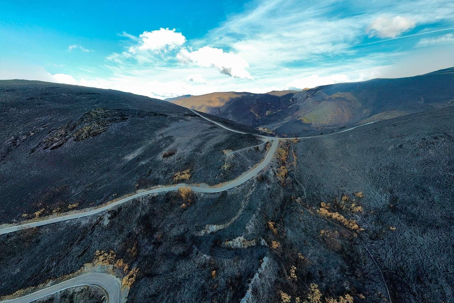 La Tebaida en cenizas resurgirá como Ave Fénix (Daniel Merino / InfoBierzo) La Tebaida en cenizas resurgirá como Ave Fénix (Daniel Merino / InfoBierzo)