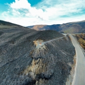 La Tebaida en cenizas resurgirá como Ave Fénix (Daniel Merino / InfoBierzo)