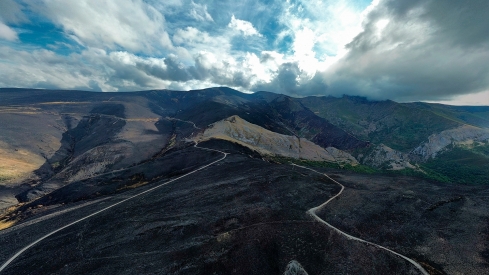 La Tebaida en cenizas resurgirá como Ave Fénix (Daniel Merino / InfoBierzo)