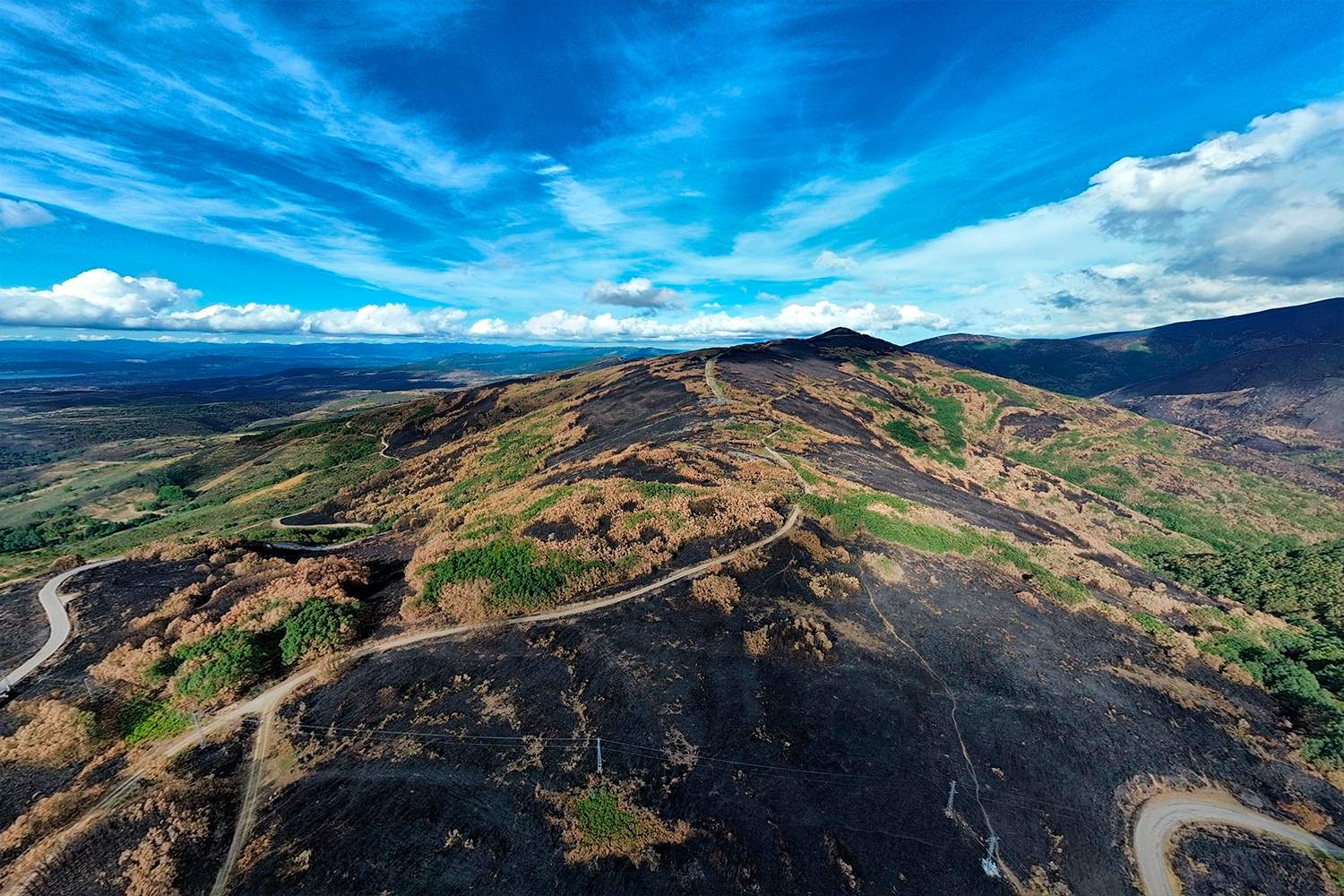 La Tebaida en cenizas resurgirá como Ave Fénix (Daniel Merino / InfoBierzo)