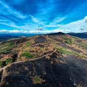 La Tebaida en cenizas resurgirá como Ave Fénix (Daniel Merino / InfoBierzo)