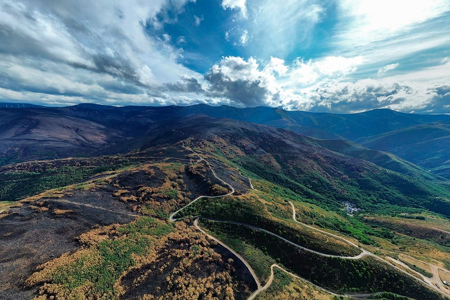 La Tebaida en cenizas resurgirá como Ave Fénix (Daniel Merino / InfoBierzo)