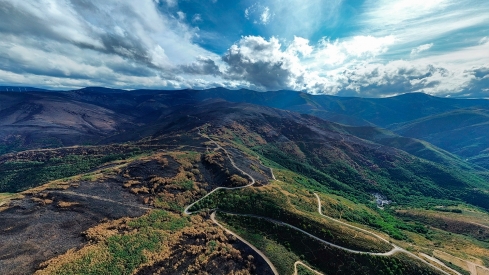 La Tebaida en cenizas resurgirá como Ave Fénix (Daniel Merino / InfoBierzo)