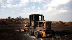 Consecuencias del incendio de Molezuelas de la Carballeda (Zamora)/Castrocalbó en de Herreros de Jamuz | Peio García / ICAL | Aprobadas nuevas ayudas para los afectados por los incendios de Castilla y León Consecuencias del incendio de Molezuelas de la Carballeda (Zamora)/Castrocalbó en de Herreros de Jamuz | Peio García / ICAL | Aprobadas nuevas ayudas para los afectados por los incendios de Castilla y León