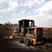 Consecuencias del incendio de Molezuelas de la Carballeda (Zamora)/Castrocalbó en de Herreros de Jamuz | Peio García / ICAL | Aprobadas nuevas ayudas para los afectados por los incendios de Castilla y León