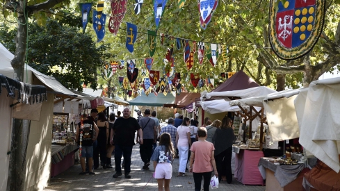 Mercado Medieval 2025 Fiestas de la Encina (1) Mercado Medieval 2025 Fiestas de la Encina (1)