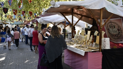 Mercado Medieval 2025 Fiestas de la Encina (2) Mercado Medieval 2025 Fiestas de la Encina (2)