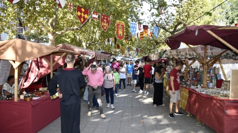 Mercado Medieval 2025 Fiestas de la Encina (21) Mercado Medieval 2025 Fiestas de la Encina (21)