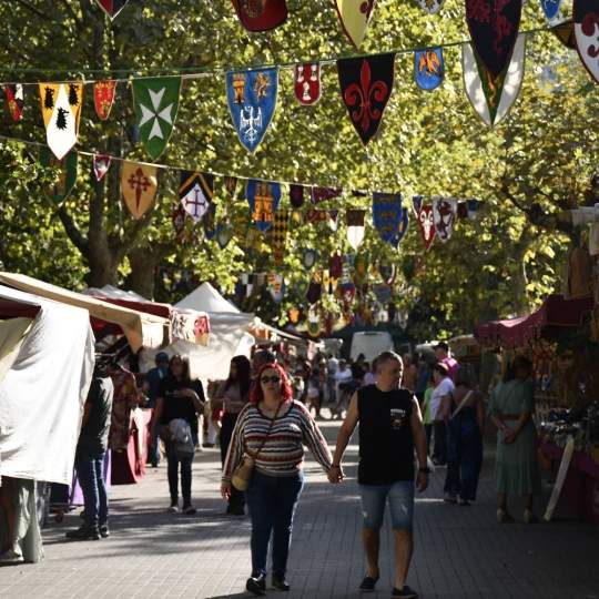 Mercado Medieval 2025 Fiestas de la Encina (57) Jardines del Sil Mercado Medieval 2025 Fiestas de la Encina (57) Jardines del Sil