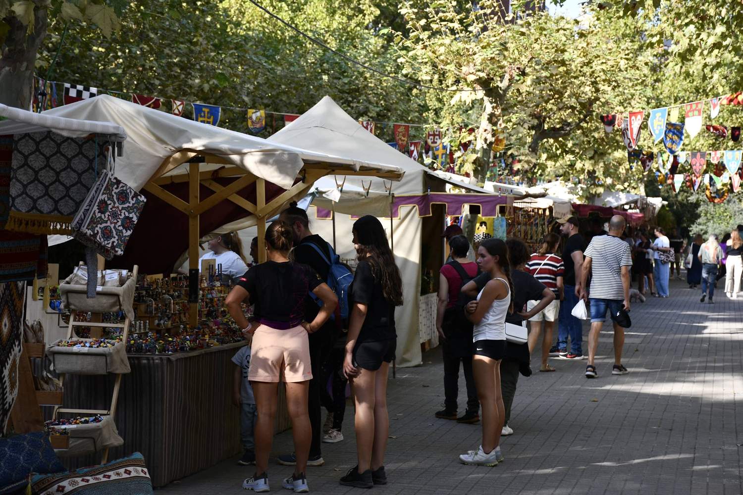 Mercado Medieval 2025 Fiestas de la Encina (68) Mercado Medieval 2025 Fiestas de la Encina (68)