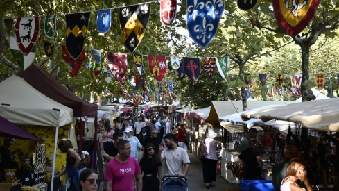 Mercado Medieval 2025 Fiestas de la Encina (74) Mercado Medieval 2025 Fiestas de la Encina (74)