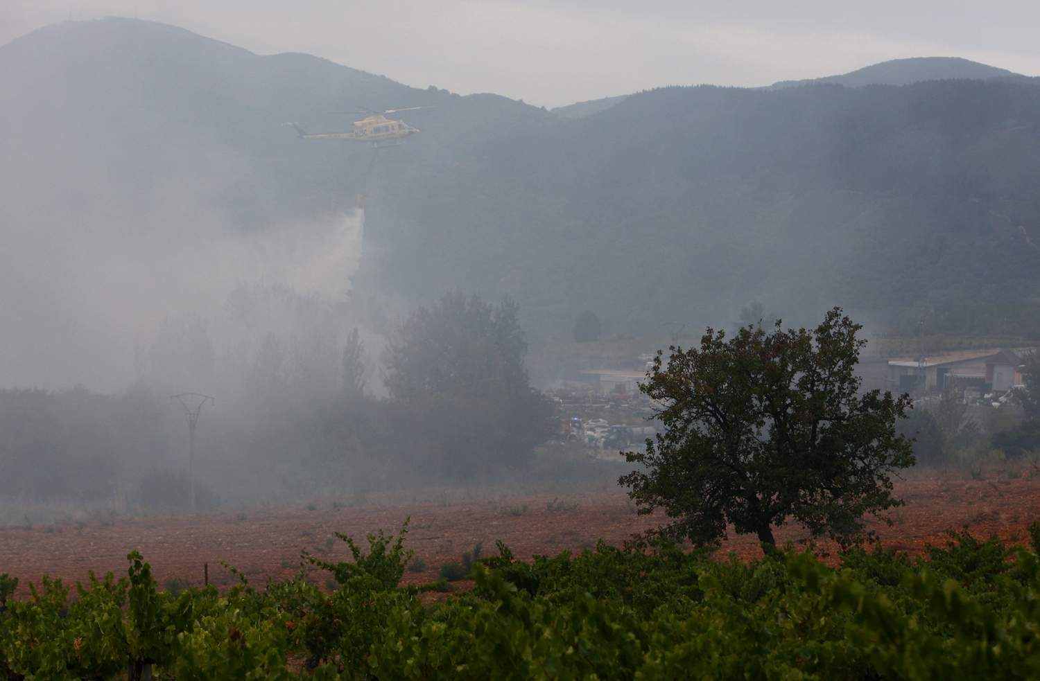 Incendio forestal en Villafranca del Bierzo (6) Incendio forestal en Villafranca del Bierzo (6)